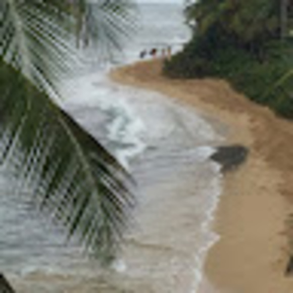 Meet your Posher, Alicia - Picture 1 of 1